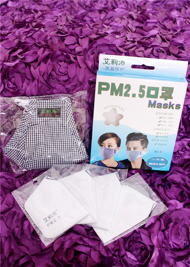 PM2.5口罩 PM2.5口罩